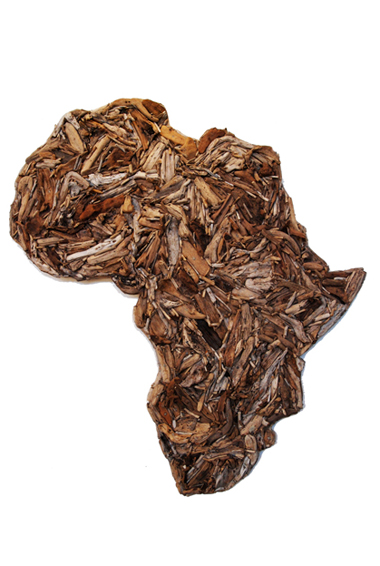 driftwoodafrica